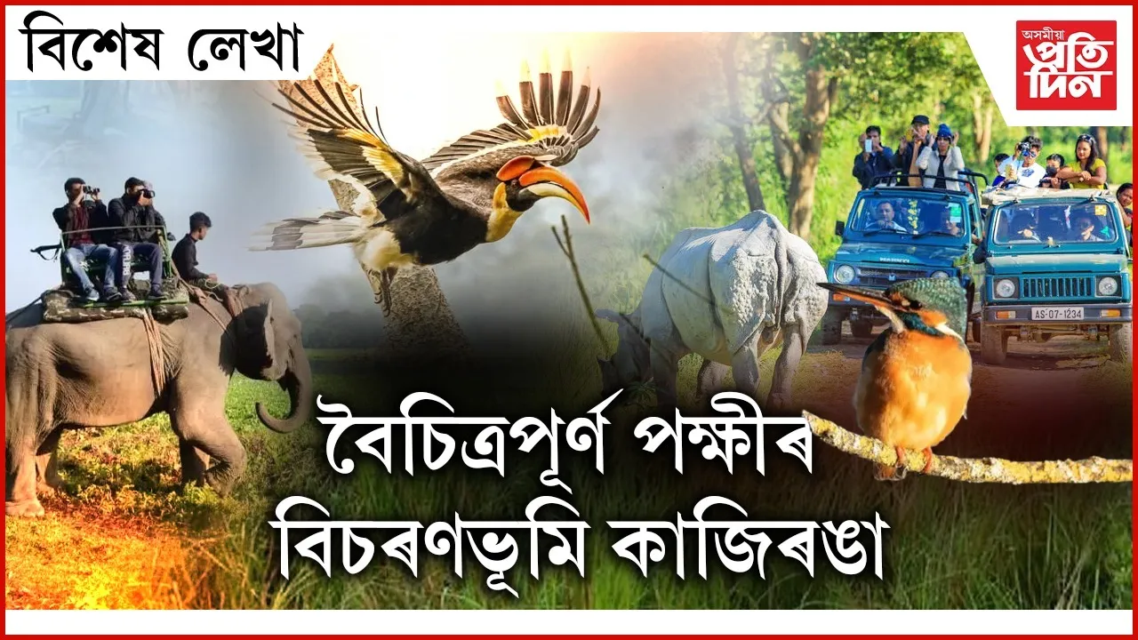 WhatsApp Image 2025-07-27 at 4.54.23 PM