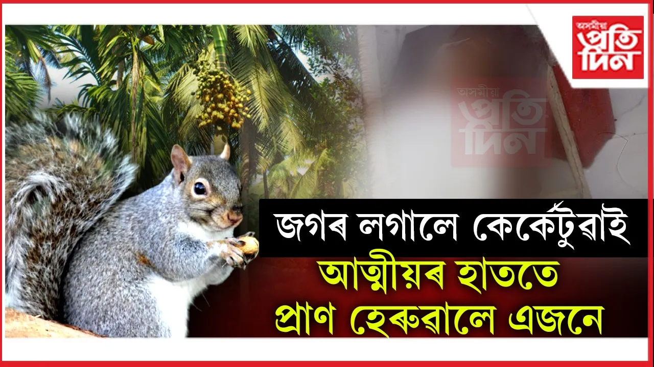 কেৰ্কেটুৱাই খালে তামোলঃ সম্বন্ধীয় দুই ভাতৃৰ মাজত লাগিল কাজিয়া, এজনে হেৰুৱালে প্ৰাণ