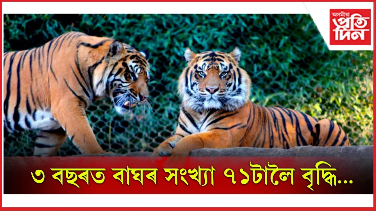 WhatsApp Image 2025-08-03 at 11.29.24 AM (1)
