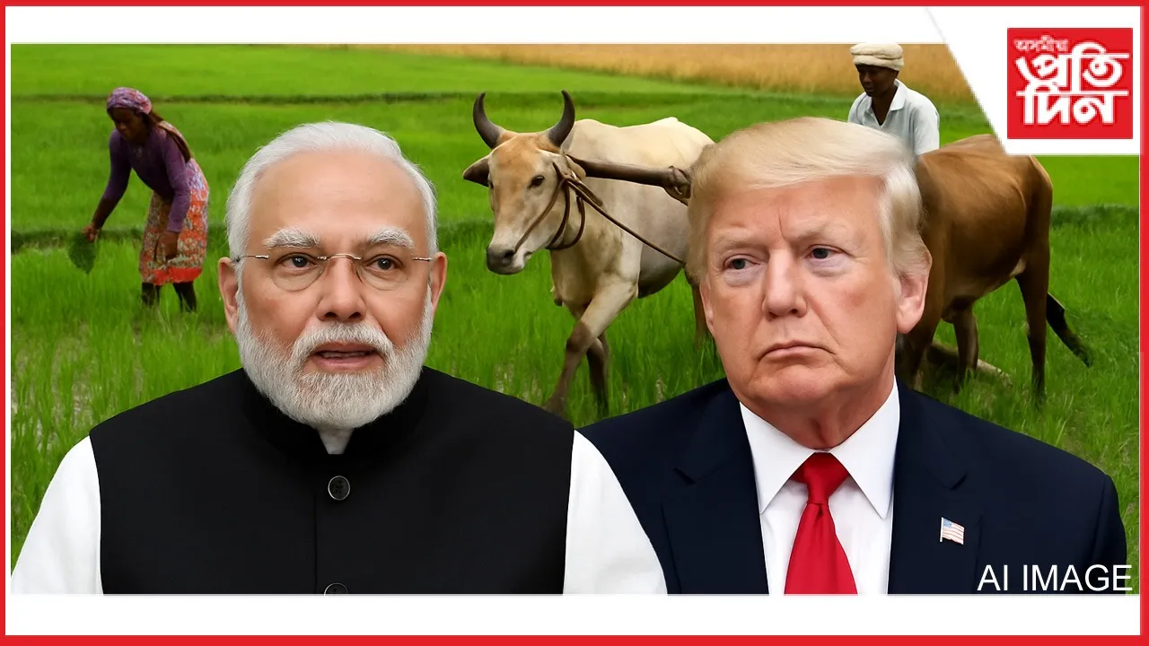 কৃষকৰ স্বাৰ্থৰ সৈতে আপোচ নকৰে মোডীয়েঃ ৫০ শতাংশ শুল্ক আৰোপ কৰাৰ পিছতে ট্ৰাম্পলৈ বাৰ্তা মোডীৰ