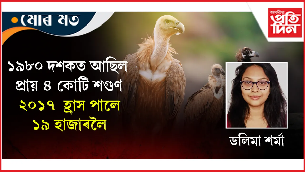 MUR MOT new njgwhn (1)