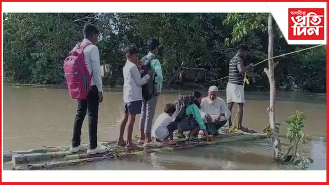 fcdfdfxzsasaedsdsdsd