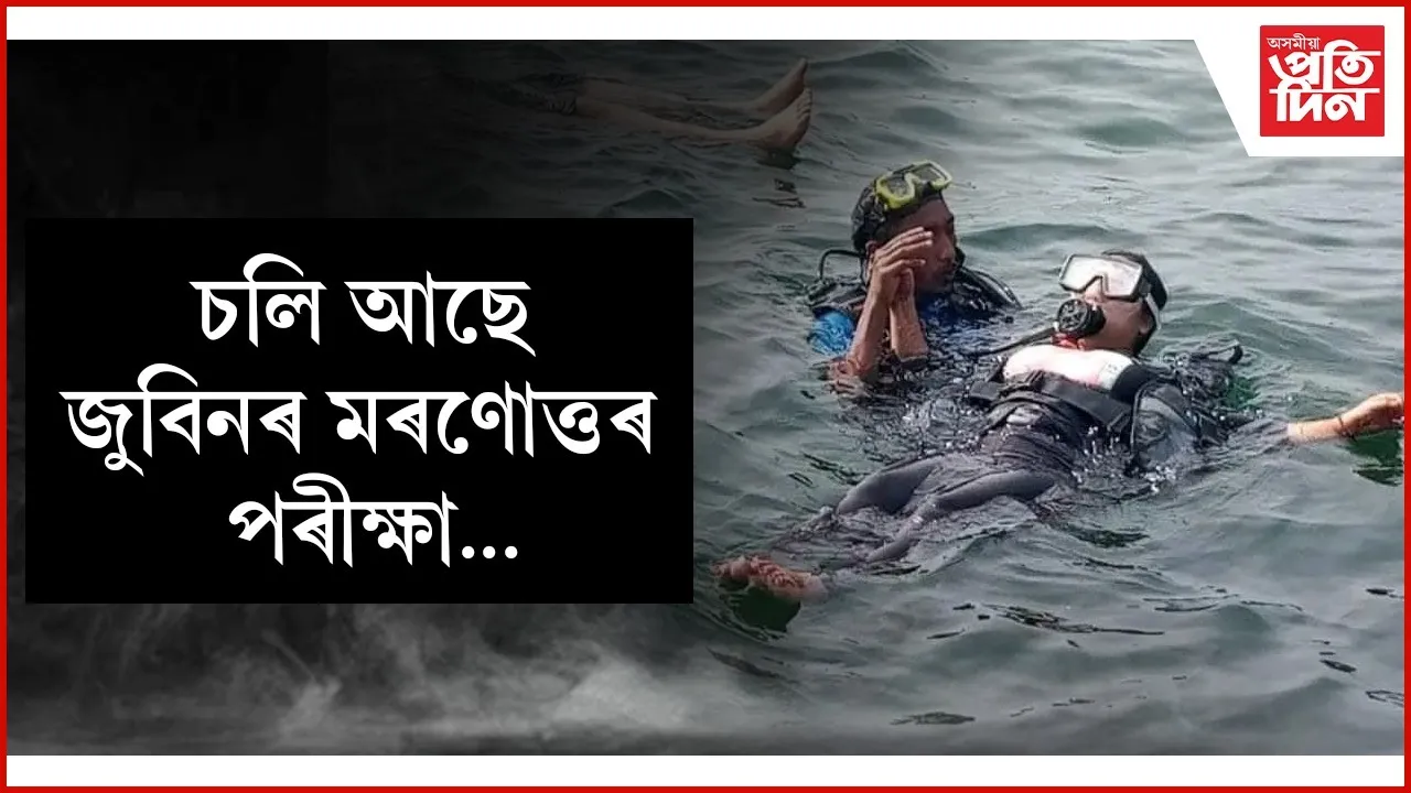 07a88630-5426-4bef-b4ff-7a9baaec7a20 (1)