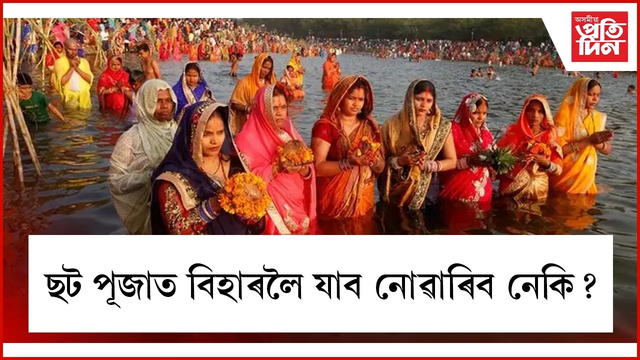 AP WEB chhath