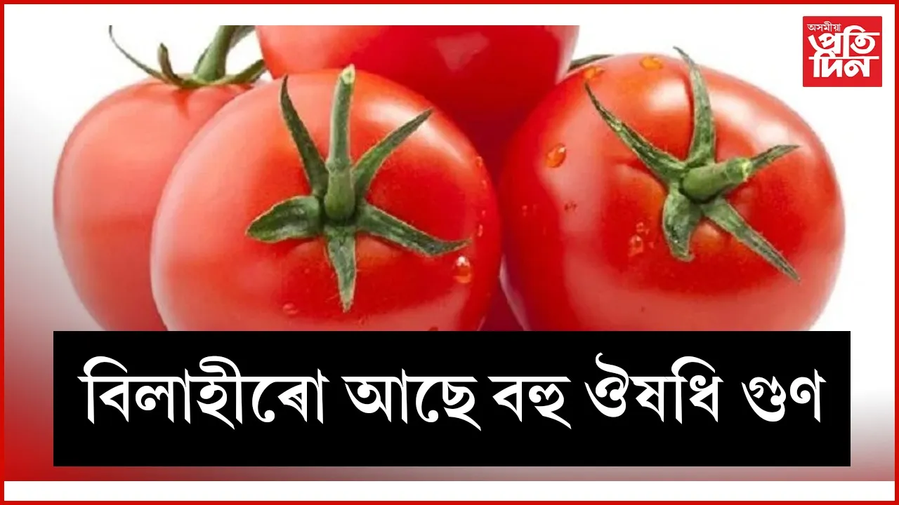 AP WEB tomato