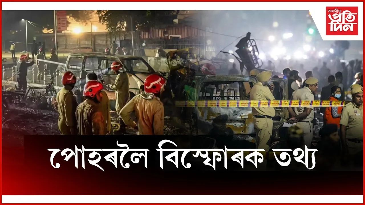 WhatsApp Image 2025-11-11 at 13.31.43