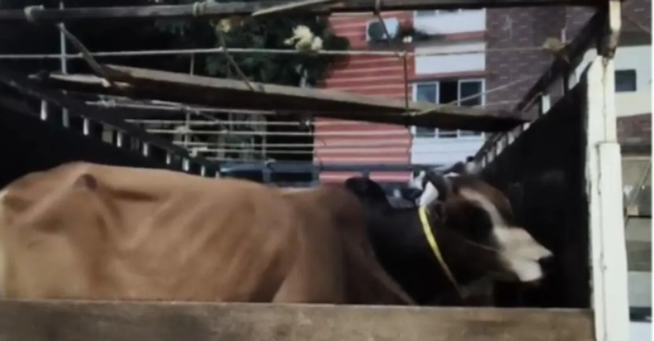 61740bc6-f178-45a5-86c6-5de16e79acfe