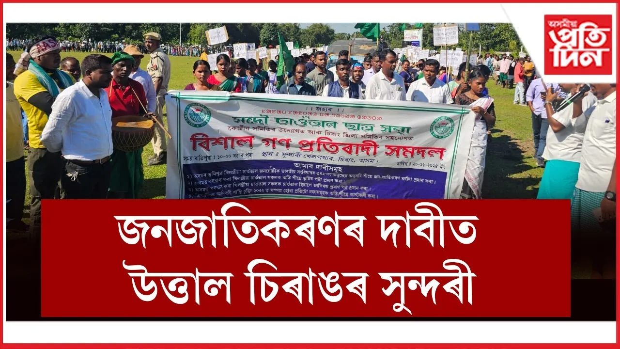 WhatsApp Image 2025-11-20 at 6.50.31 PM