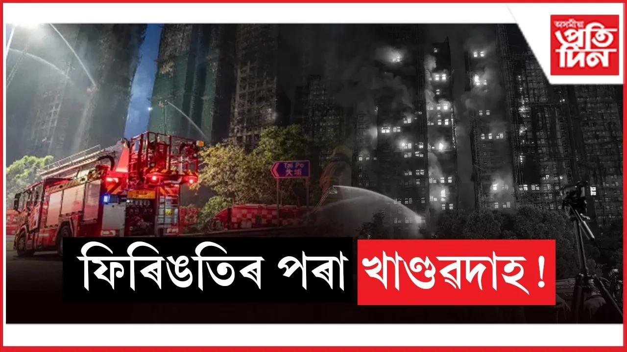 WhatsApp Image 2025-11-29 at 8.01.50 PM