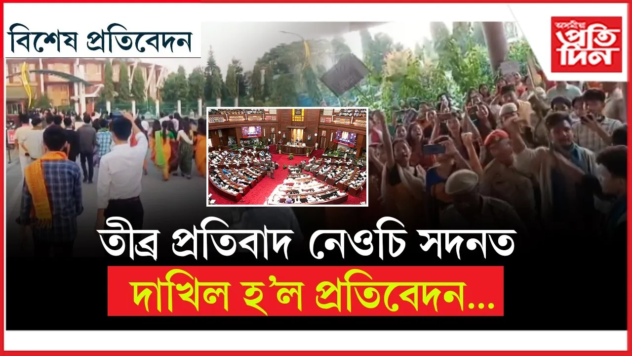 WhatsApp Image 2025-11-29 at 8.35.46 PM