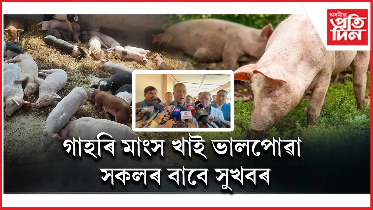 WhatsApp Image 2025-12-17 at 9.07.50 PM