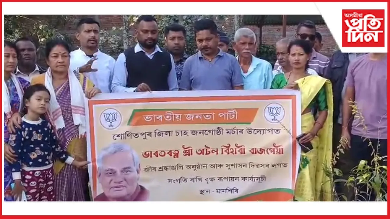 new ap web 11-11-24 new 2