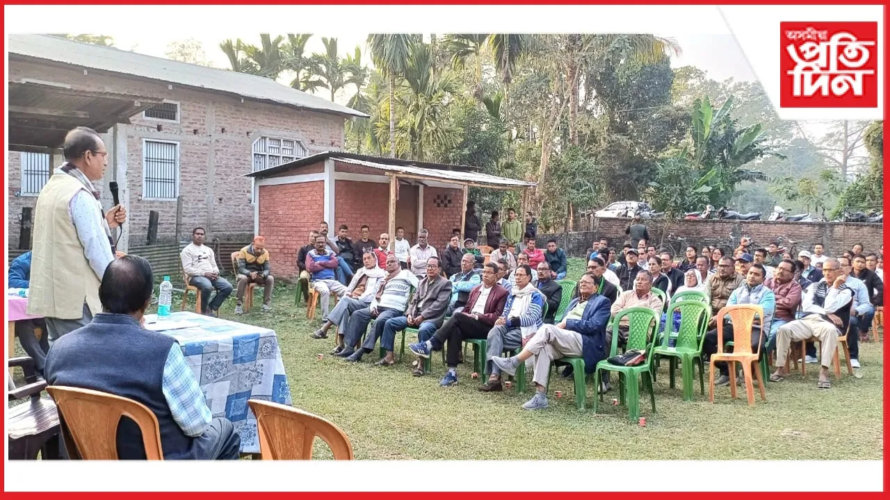 new ap web 11-11-24 new 2