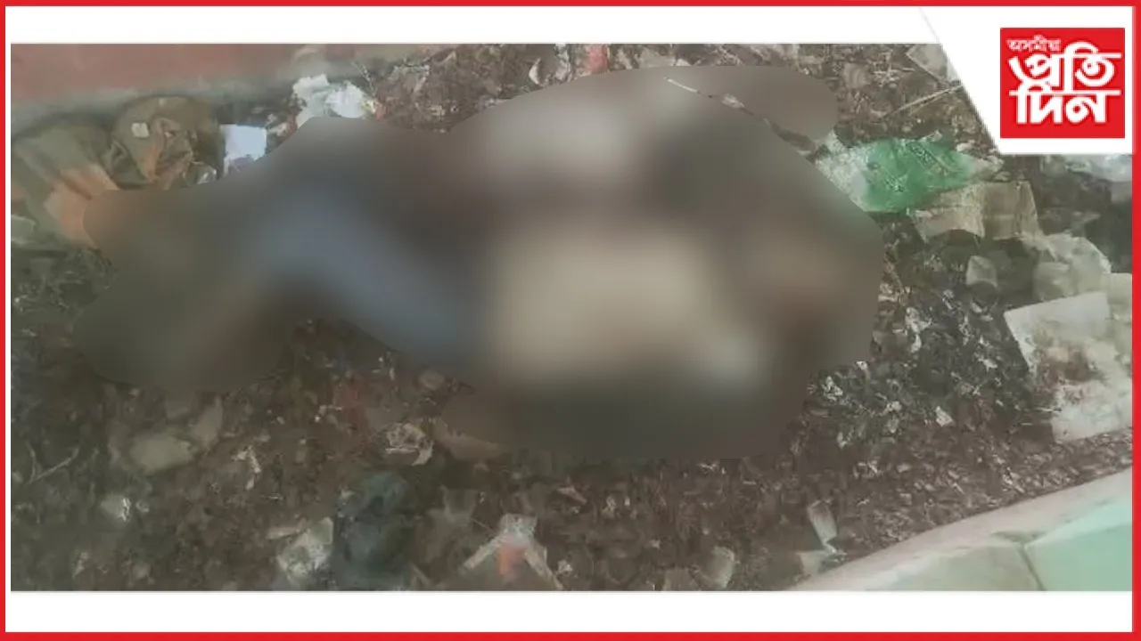 WhatsApp Image 2025-12-26 at 1.24.25 PM