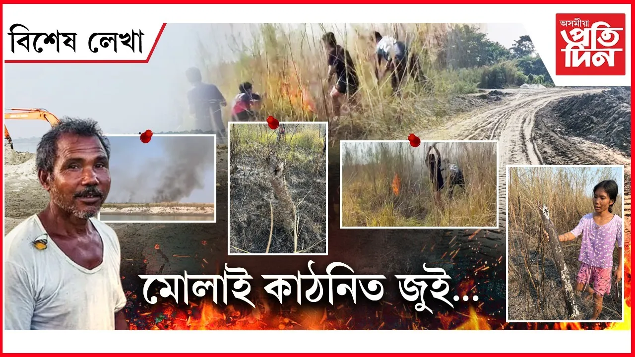 f09ab2b1-6af1-46ab-885c-da41e05270ab