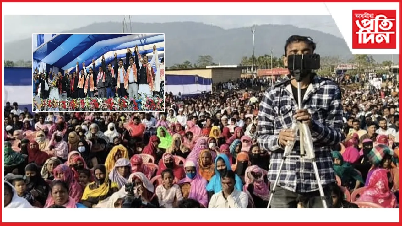 new ap web 11-11-24 new 2