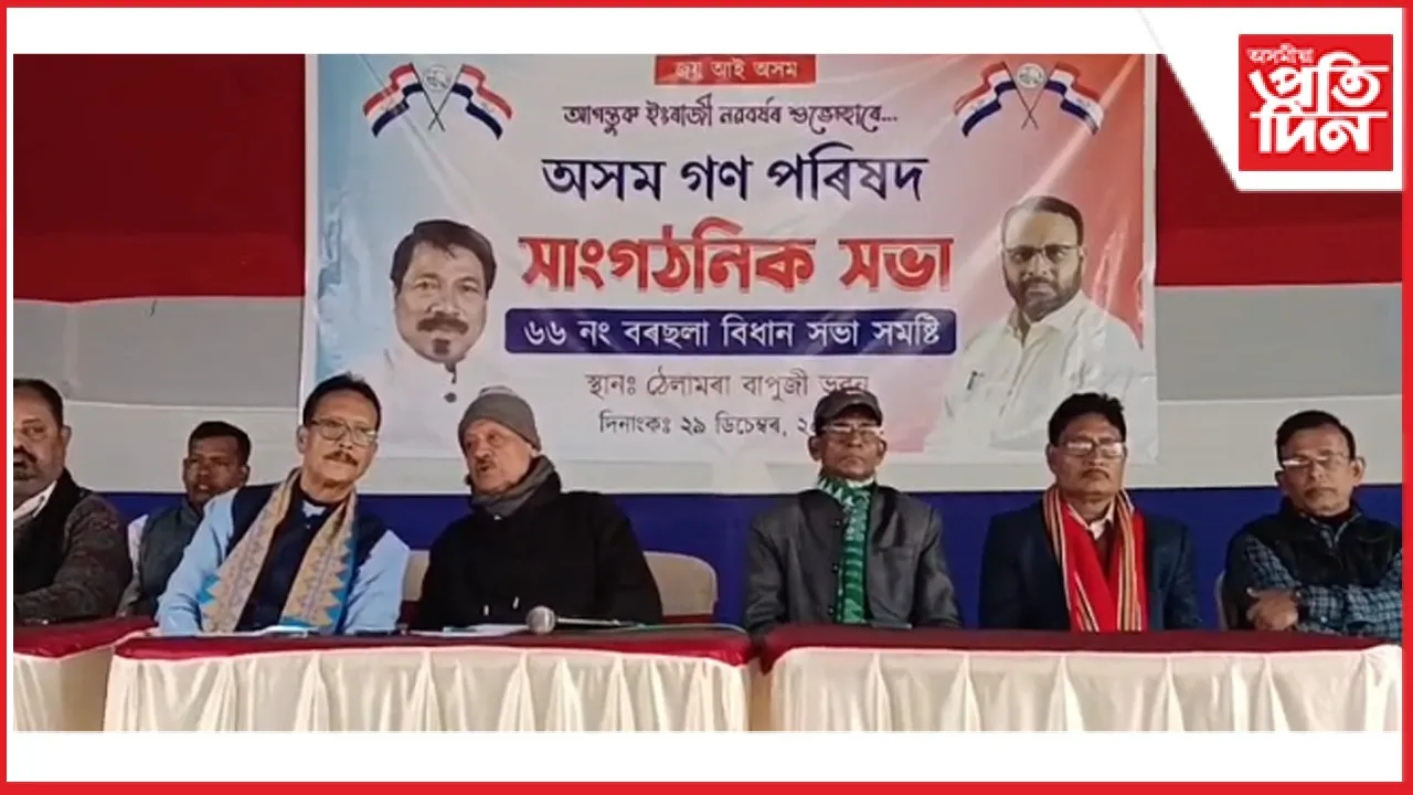 new ap web 11-11-24 new 2