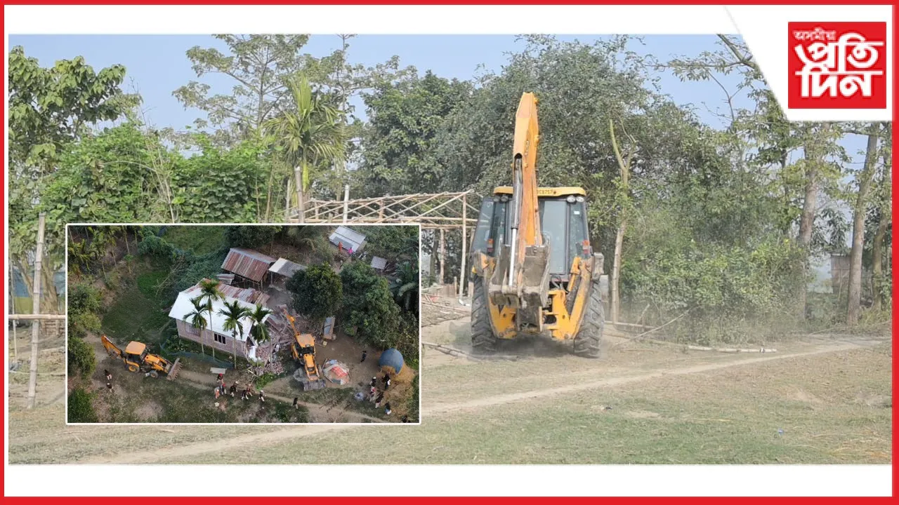 new ap web 11-11-24 new 2