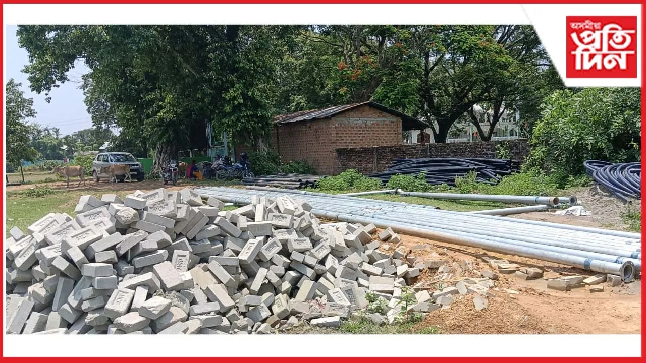 new ap web 11-11-24 new 2