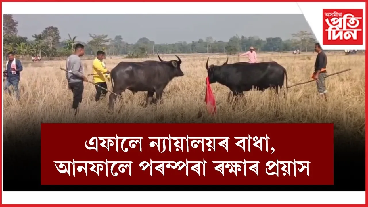 WhatsApp Image 2026-01-15 at 4.23.55 PM