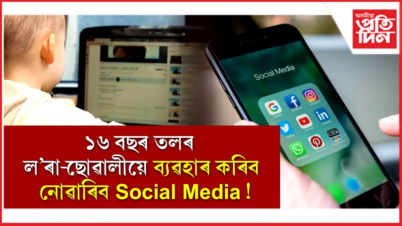 new ap web 1.jpg (4)