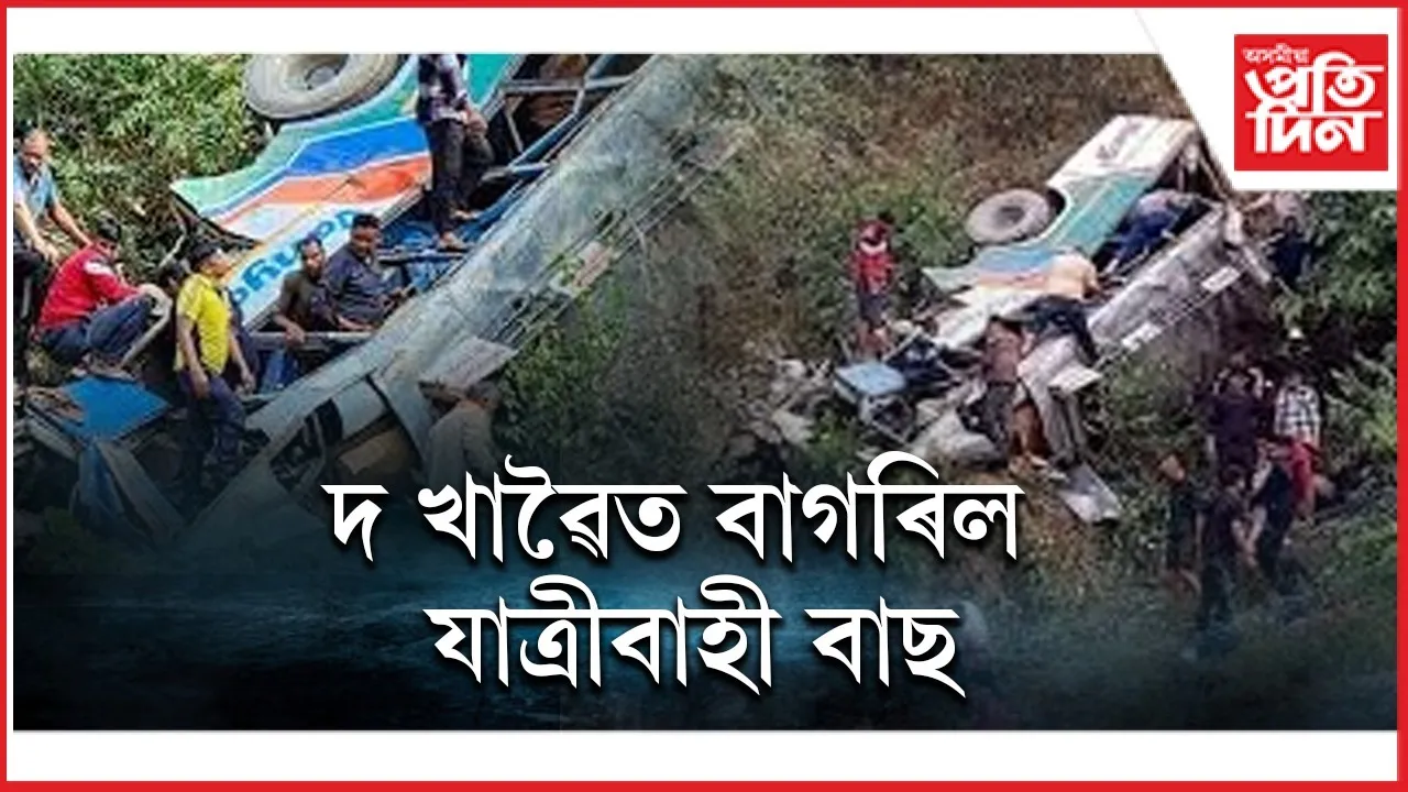 WhatsApp Image 2026-02-03 at 9.49.29 PM