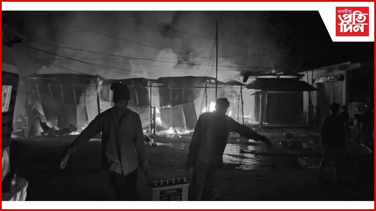 WhatsApp Image 2026-02-08 at 10.18.01 AM