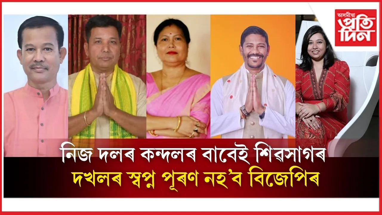 25022e51-b623-4b53-aae7-33314ab836fd