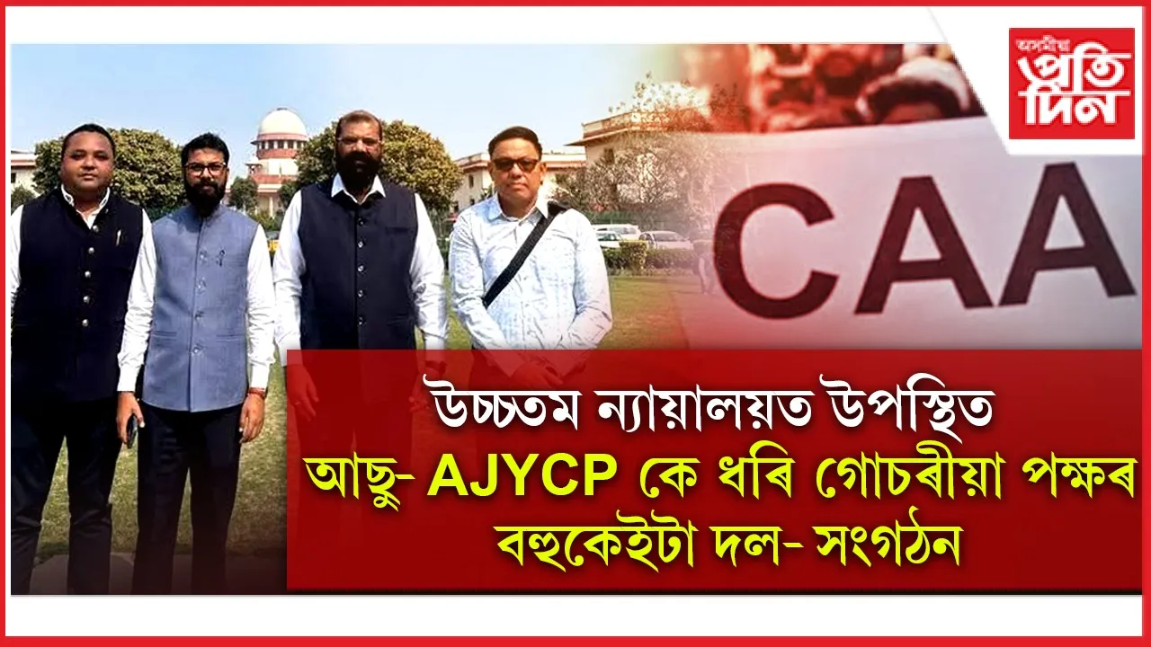 new ap web 7.jpg (1)