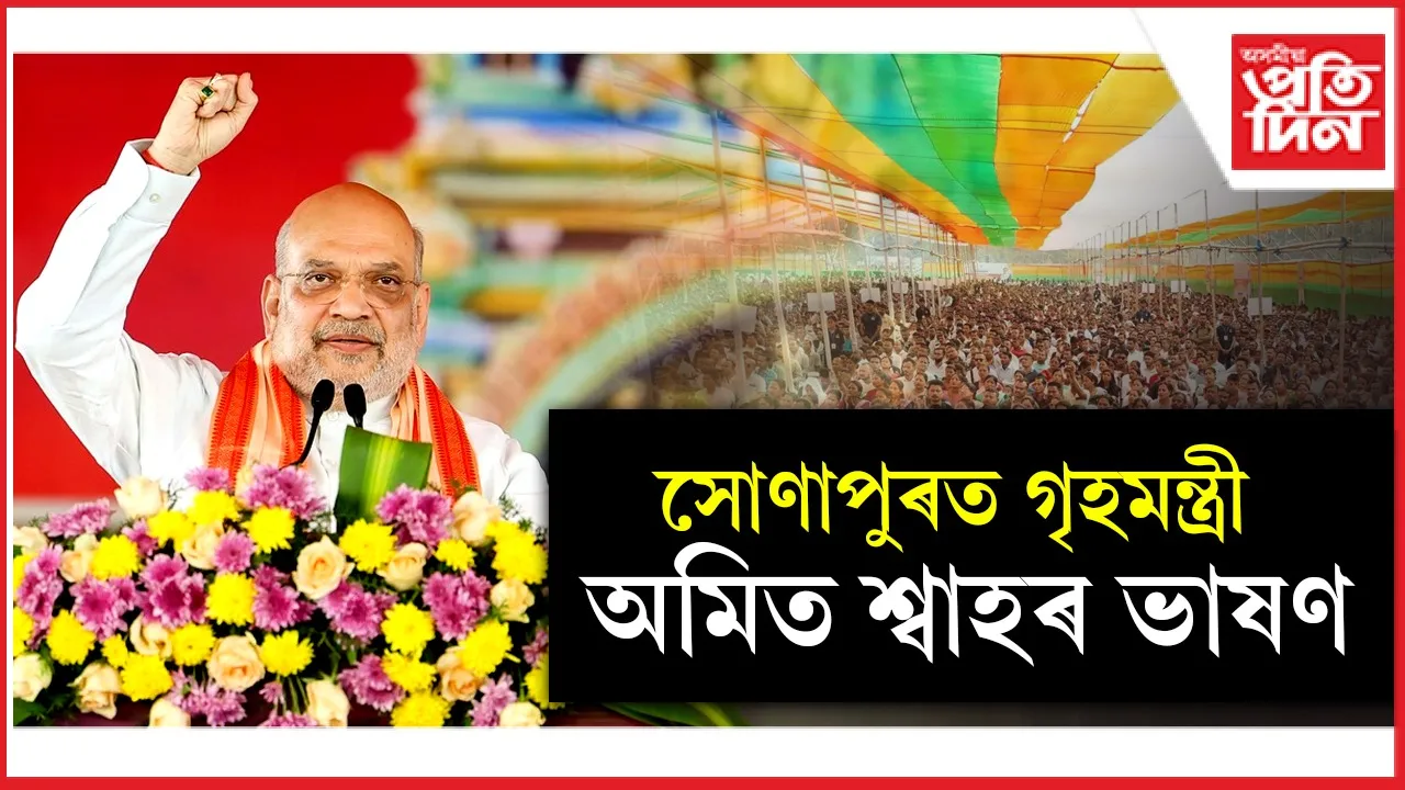 new ap web 2.jpg (7)