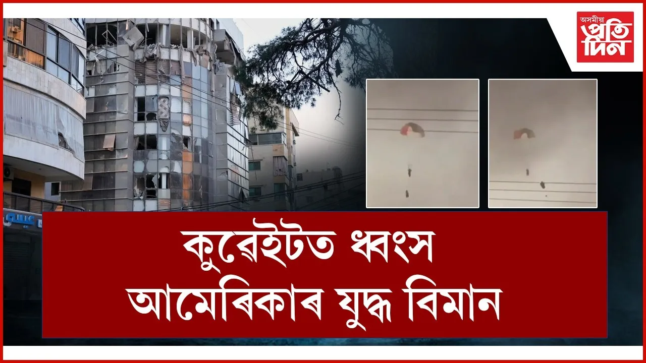 WhatsApp Image 2026-03-02 at 1.09.58 PM