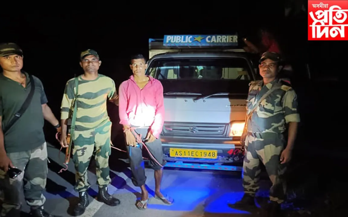 কাছাৰত বিএছএফৰ হাতত জব্দ ১১ টা চোৰাং গৰু ভৰ্তি ট্ৰাক, আটক ১