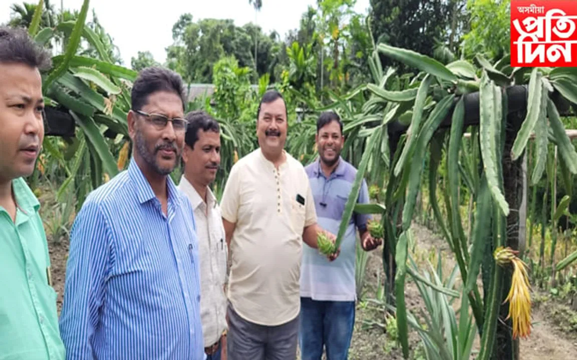 আদৰ্শ খেতিয়ক আকবৰ আলী আহমেদৰ ড্ৰেগন ফল খেতি আৰু নাৰ্চাৰী পৰিদৰ্শন  কৃষি বিভাগৰ কাৰ্য্যবাহী সদস্যৰ...
