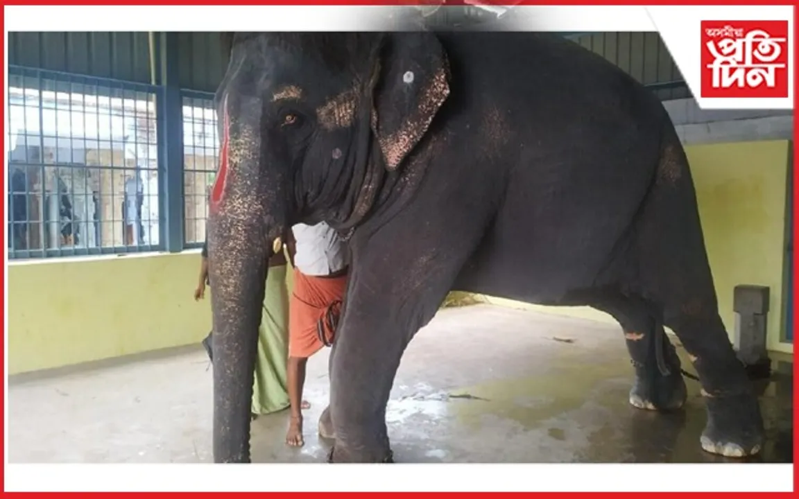 জয়মালাক অসমলৈ ঘূৰাই আনিবলৈ উচ্চ ন্যায়ালয়ৰ কাষ চাপিছে অসম চৰকাৰ...