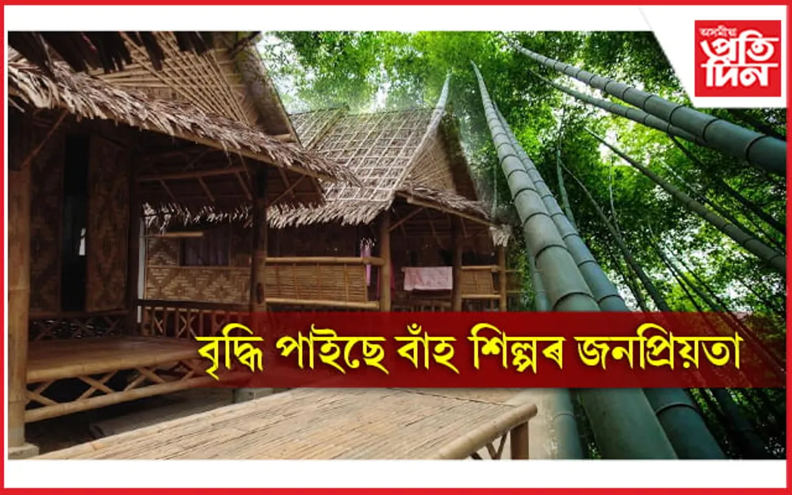 'যাৰ নাই বাঁহ, তাৰ নাই সাহ'- বিশ্ব বাঁহ দিৱসৰ বিষয়ে জানেনে...