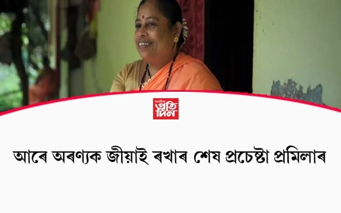 মেট্ৰ' প্ৰকল্পই নি:শেষ কৰি অনা আৰে অৰণ্যক জীয়াই ৰখাৰ শেষ প্ৰচেষ্টা প্ৰমিলাৰ…