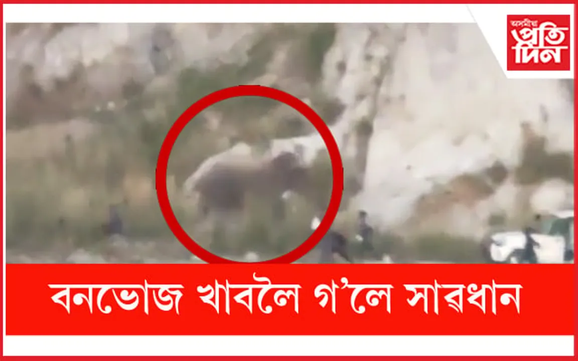 ভৈৰৱকুণ্ড বনভোজস্থলীত ভয়ংকৰ দৃশ্যঃ হঠাৎ পাহাৰৰ পৰা নামি আহিল হাতী...