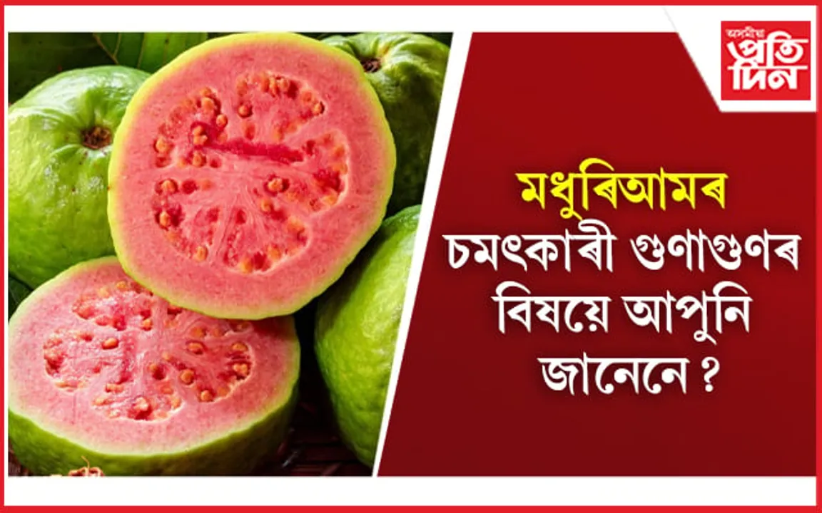 15 Amazing Guava Benefits: মধুৰিআমৰ গুণাগুণৰ বিষয়ে আপুনি জানেনে?