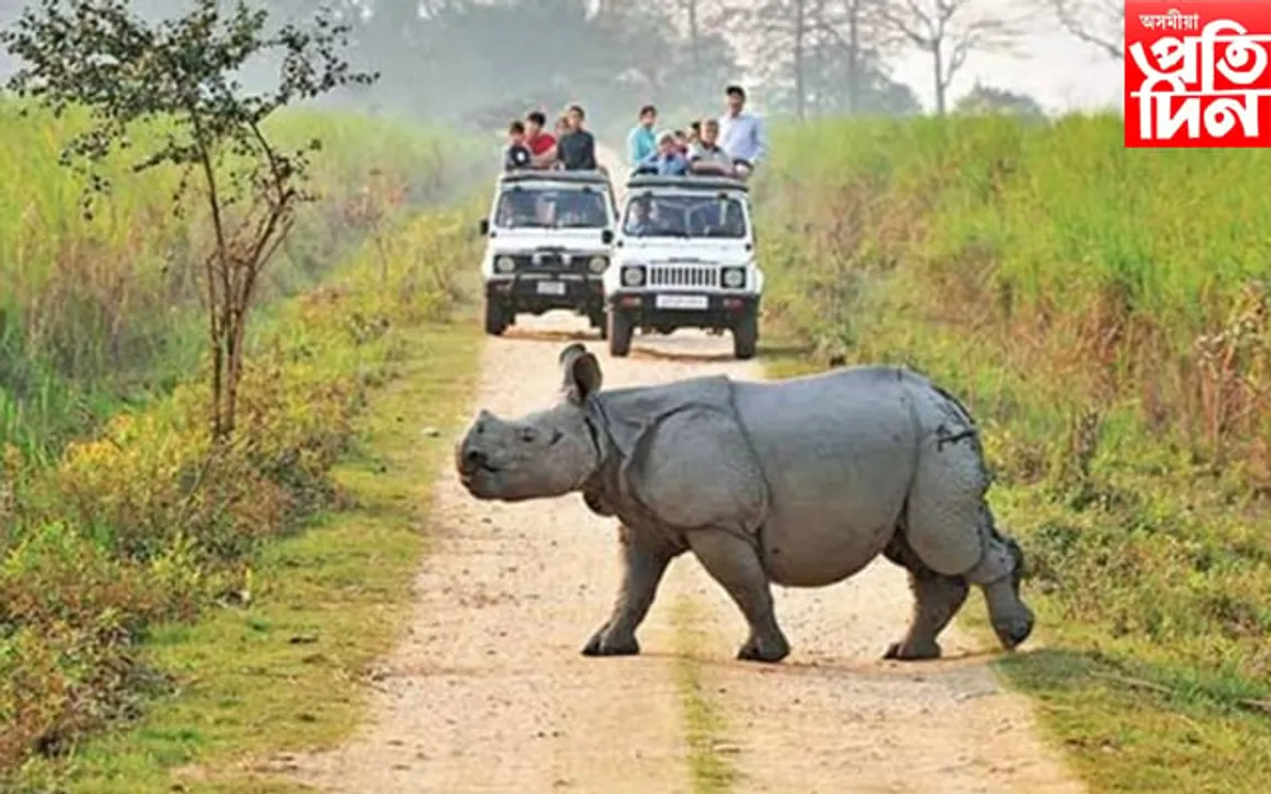 ৩১ মে' পৰ্যন্ত বৃদ্ধি কৰা হৈছে কাজিৰঙা ৰাষ্ট্ৰীয় উদ্যানৰ জীপ ছাফাৰী