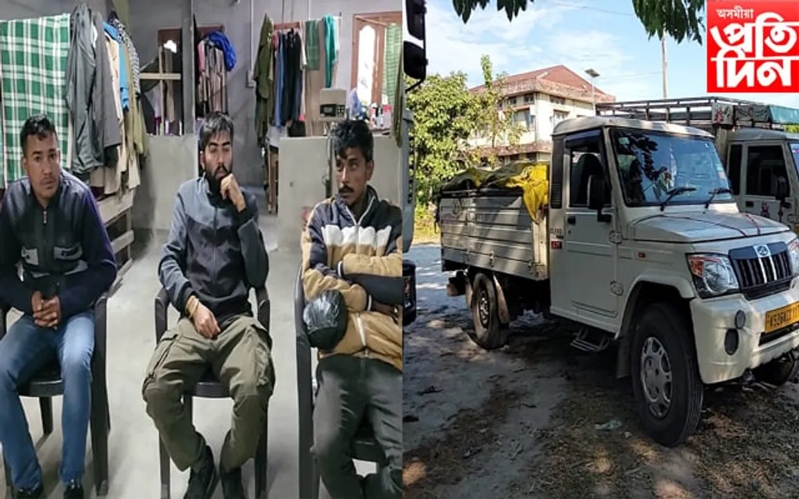 চিৰাঙৰ চাপাগুৰী আৰু ৰৌমাৰীত চোৰাং কাঠ সৰবৰাহকাৰীসহ বাহন জব্দ...