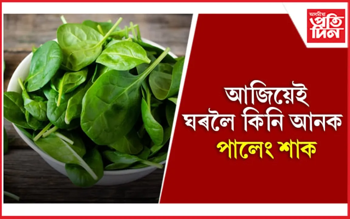 ‘ছুপাৰফুড’ পালেঙৰ চমৎকাৰী গুণ