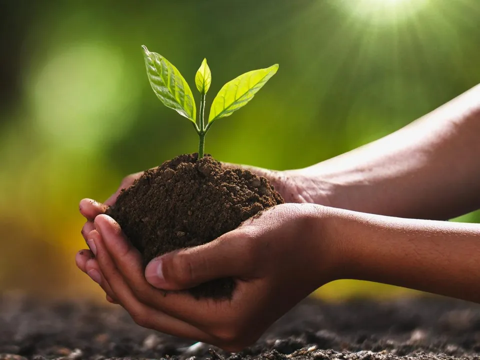 World Soil Day 2022: আজি বিশ্ব ভূমি দিৱস