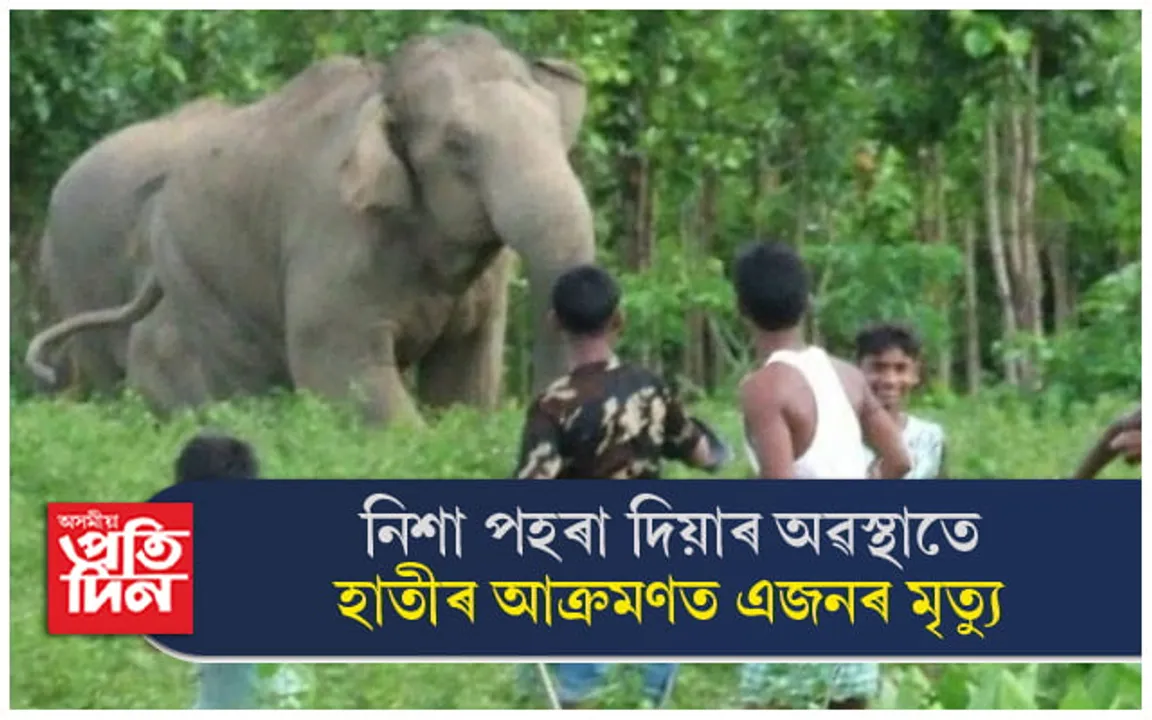 বন্যহস্তীৰ আক্ৰমণত গোৱালপাৰাত পুনৰ এজনৰ মৃত্যু... 