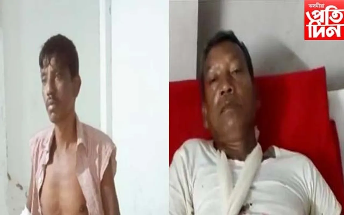 হাতীৰ পিছত এইবাৰ বাঘৰ আতংক, বাঘৰ আক্ৰমণত আহত দুজন লোক... 