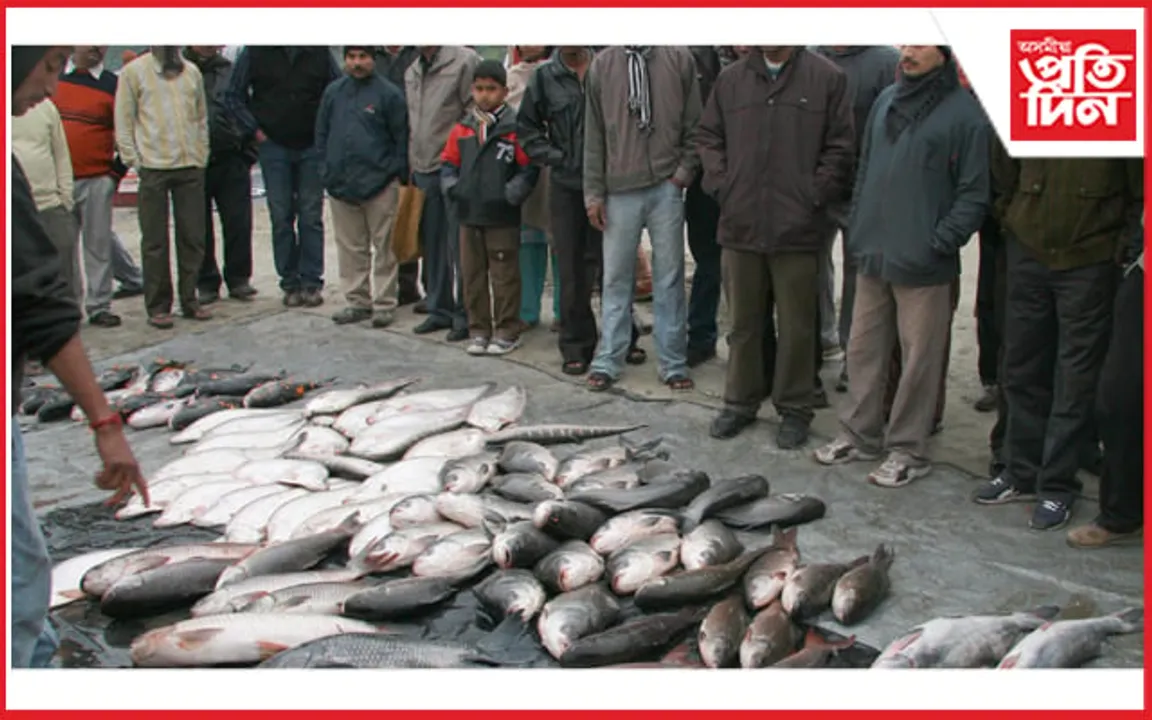 ভোগালী বিহুৰ বতৰত নগঞা ৰাইজলৈ সুলভ মূল্যত মাছঃ ৰৌ, বৰালি, চিতল সকলো উপলব্ধ...