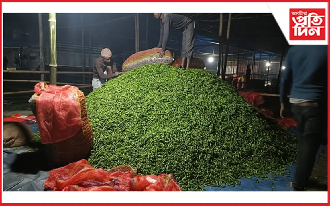 বিলাসীপাৰাৰ উৎপাদিত হাজাৰ হাজাৰ টন কেচাঁ জলকীয়া দেশৰ বিভিন্ন ঠাইলৈ ৰপ্তানি...