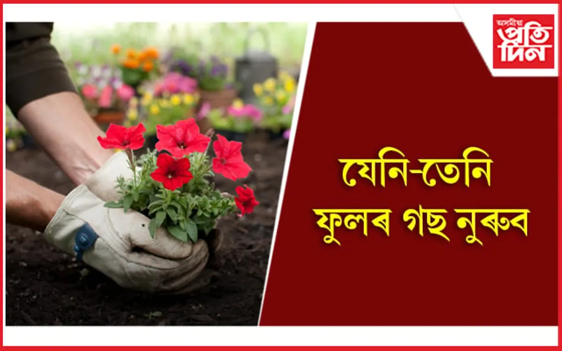 অজানিতে কৰা ভুলে আপোনাৰ জীৱনলৈ মাতিব পাৰে অন্ধকাৰ