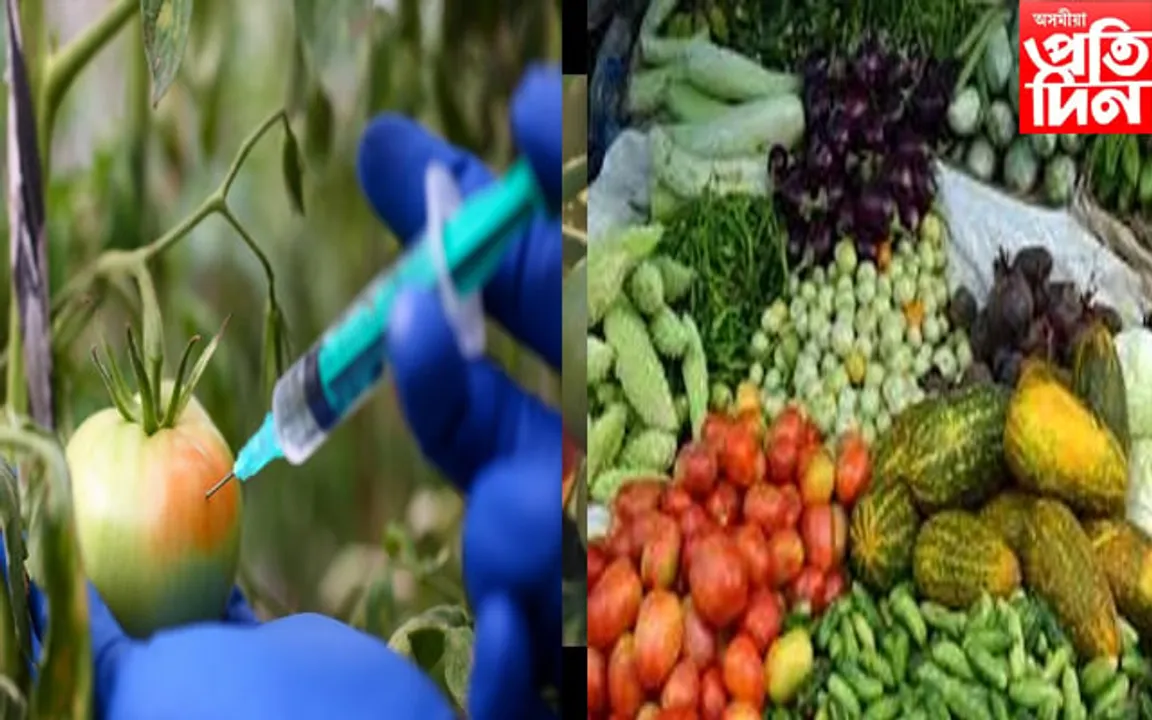 কীটনাশক দ্রব্য যুক্ত শাক-পাচলি বিক্ৰীত সাৱধান, গুৱাহাটী উচ্চ ন্যায়ালয়ৰ নিৰ্দেশনা...