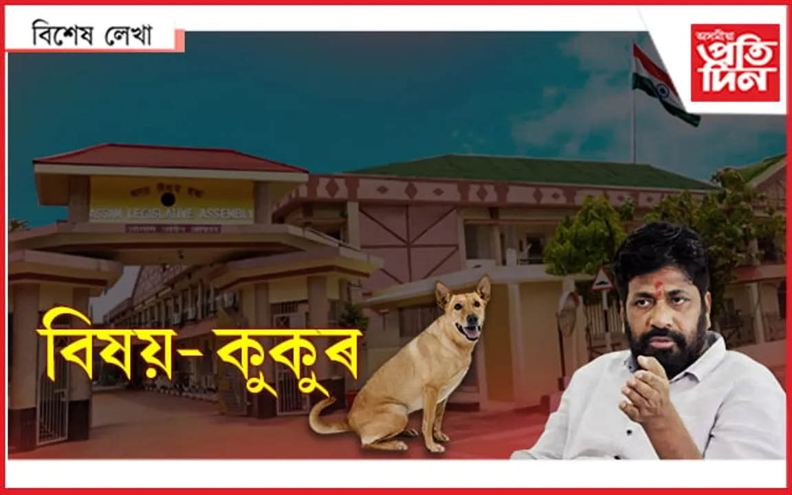 ৰাইজৰ দুখ বুকুতঃ কুকুৰ পাছত বিৰোধী... 