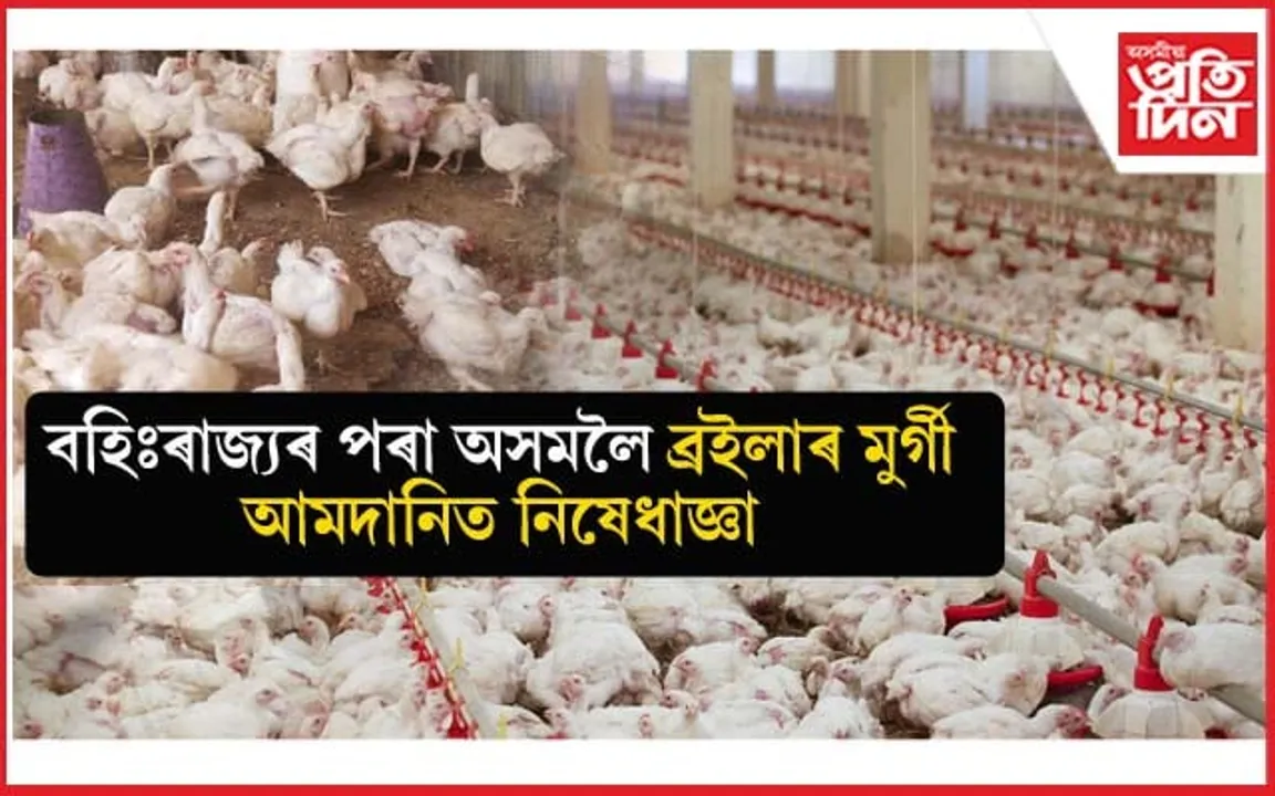 বৃদ্ধি পাব ব্ৰইলাৰ মাংসৰ দাম ! বহিঃৰাজ্যৰ পৰা আমদানি কৰাত নিষেধাজ্ঞা...